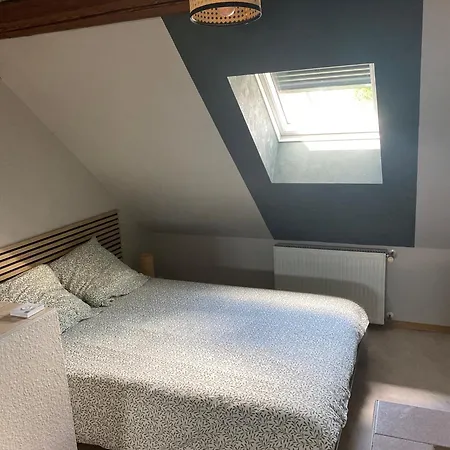 Les Pampas Montbronn